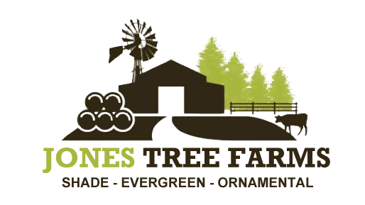 Jones Tree Farms